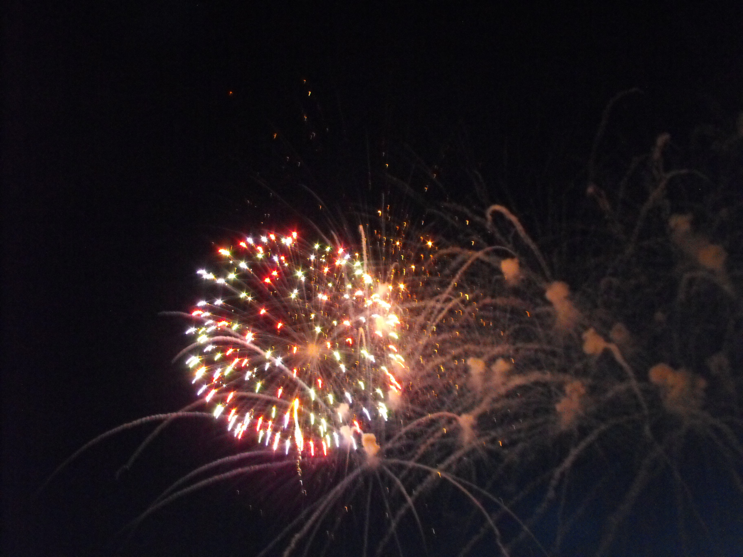 ./2010/Fourth of July/4th July Fireworks Wilm 0019.JPG